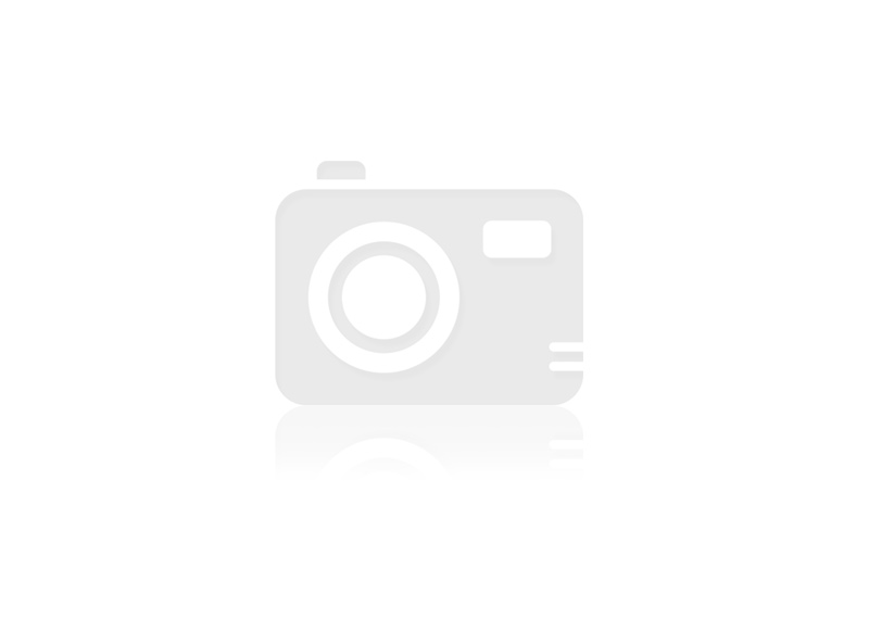 Motors for Household Appliances