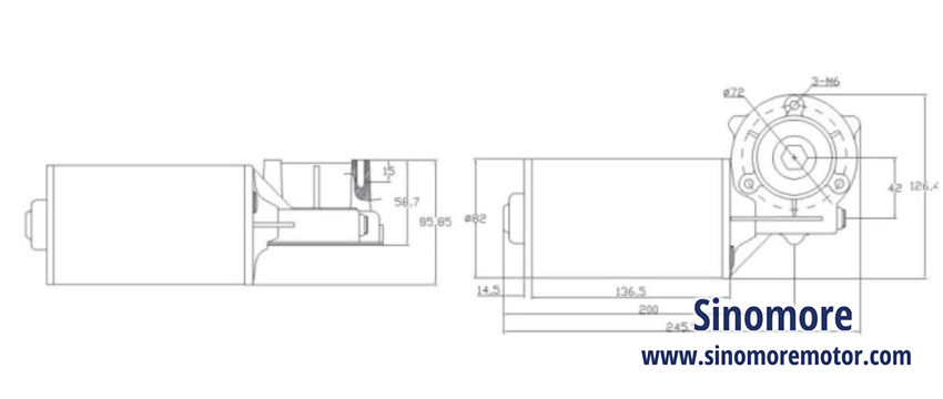 Gear Motor