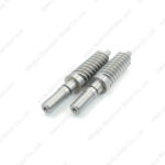 Worm gear