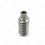 Worm gear