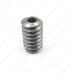 Worm gear