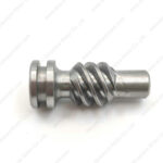 Worm gear